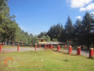  rincons na floresta 